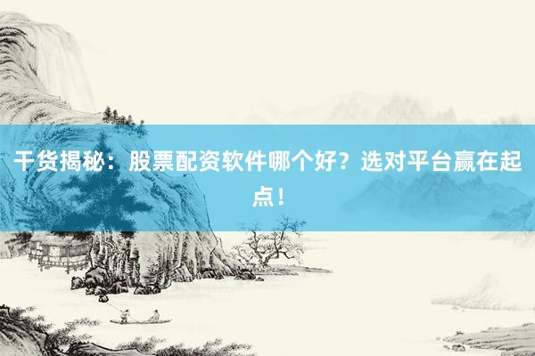 干货揭秘：股票配资软件哪个好？选对平台赢在起点！