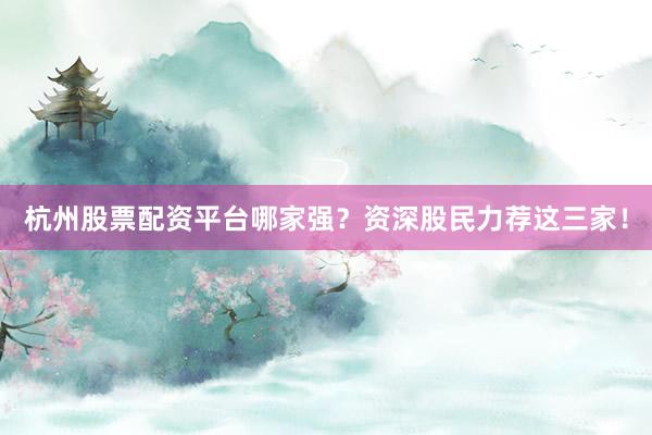 杭州股票配资平台哪家强？资深股民力荐这三家！