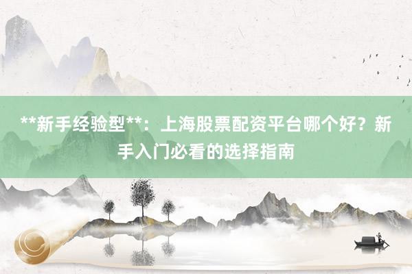 **新手经验型**：上海股票配资平台哪个好？新手入门必看的选择指南