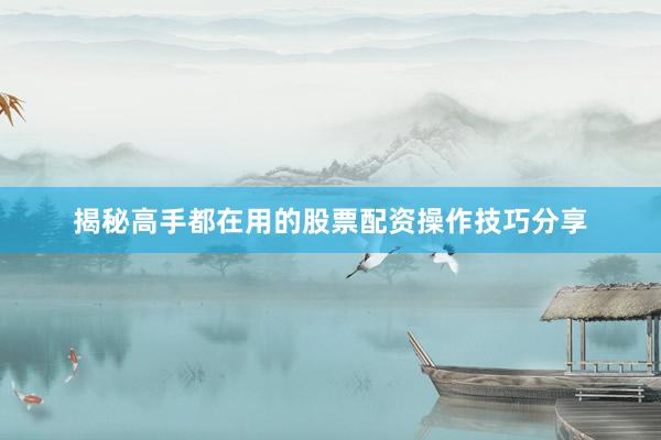 揭秘高手都在用的股票配资操作技巧分享