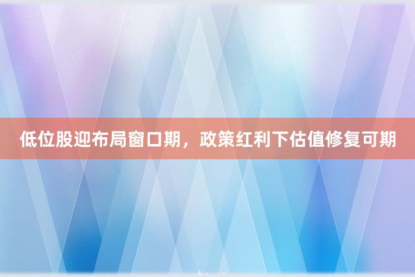 低位股迎布局窗口期，政策红利下估值修复可期