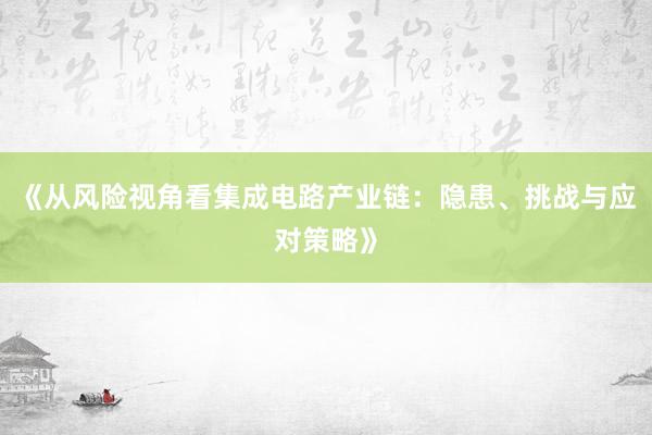 《从风险视角看集成电路产业链：隐患、挑战与应对策略》