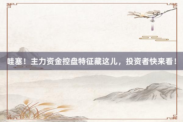 哇塞！主力资金控盘特征藏这儿，投资者快来看！