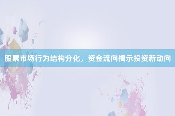 股票市场行为结构分化,资金流向揭示投资新动向